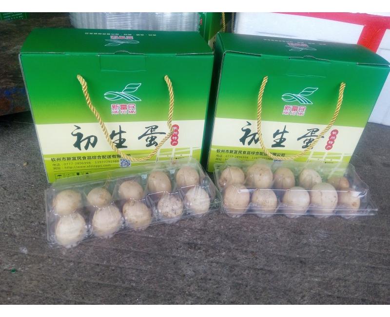 新富民初生蛋-源于天然 滋補有道。